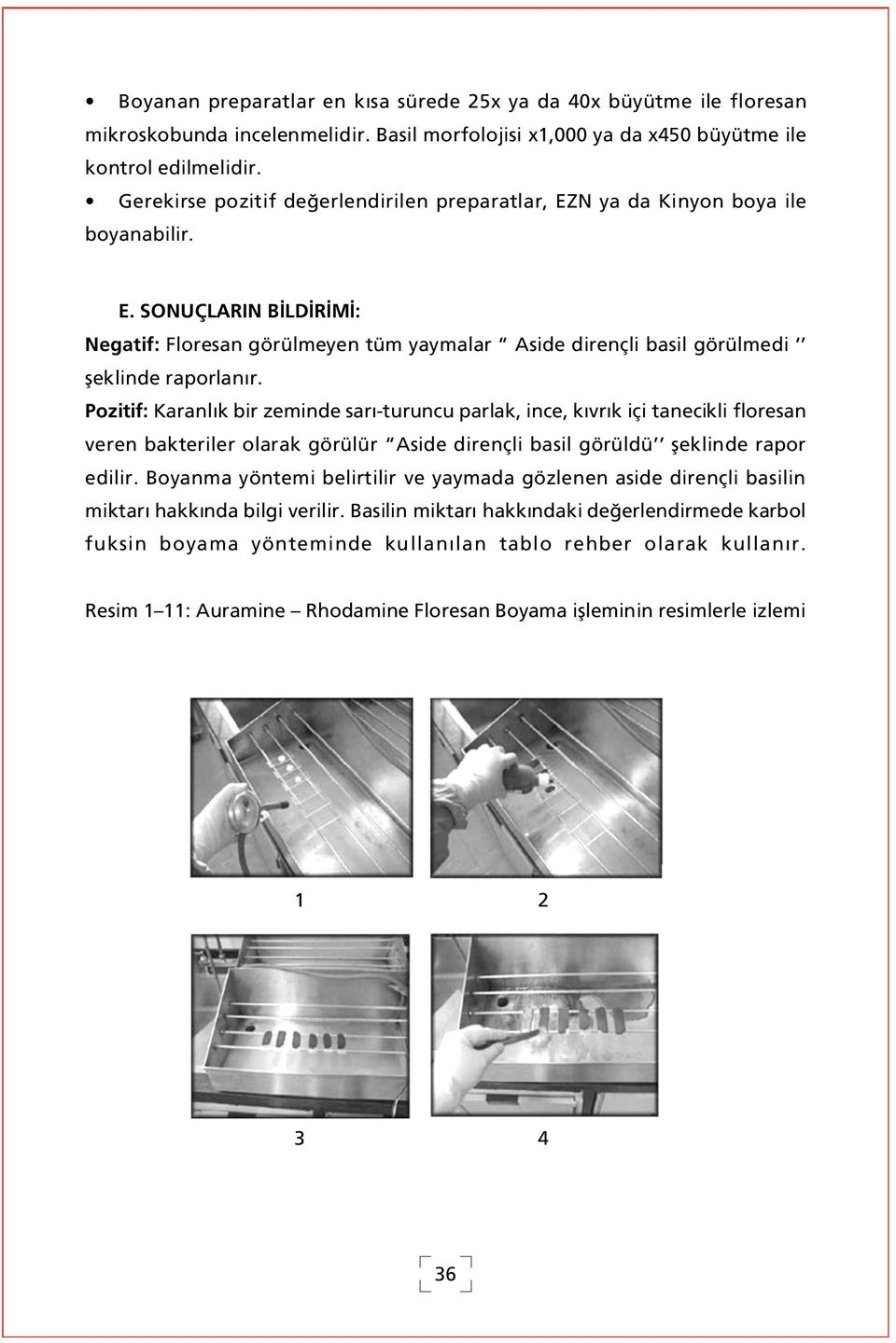 Pozitif: Karanl k bir zeminde sar -turuncu parlak, ince, k vr k içi tanecikli floresan veren bakteriler olarak görülür Aside dirençli basil görüldü fleklinde rapor edilir.