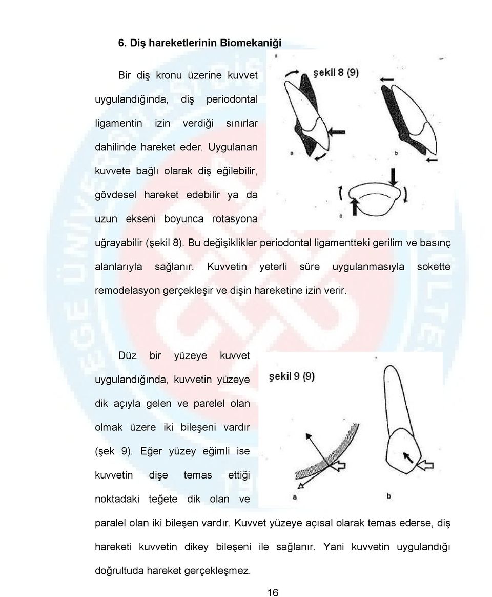 Bu değişiklikler periodontal ligamentteki gerilim ve basınç alanlarıyla sağlanır. Kuvvetin yeterli süre uygulanmasıyla sokette remodelasyon gerçekleşir ve dişin hareketine izin verir.