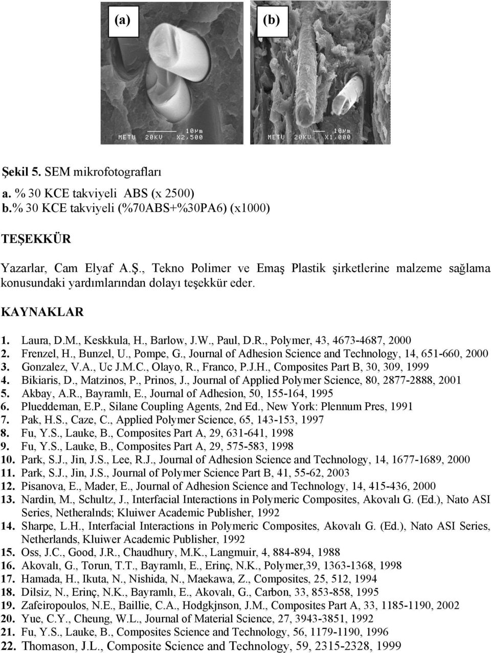 Gonzalez, V.A., Uc J.M.C., Olayo, R., Franco, P.J.H., Composites Part B, 3, 39, 1999 4. Bikiaris, D., Matzinos, P., Prinos, J., Journal of Applied Polymer Science, 8, 2877-2888, 21 5. Akbay, A.R., Bayramlı, E.