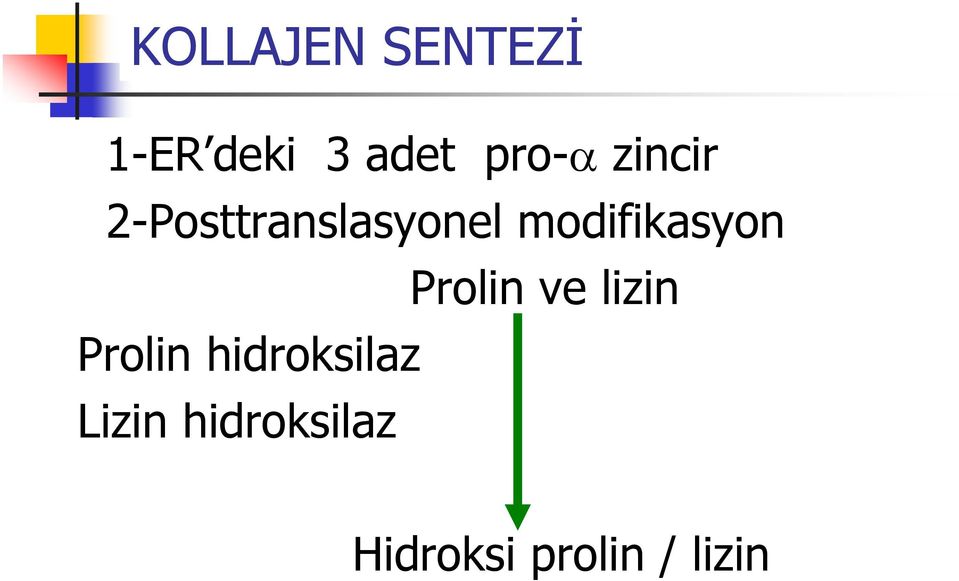 modifikasyon Prolin ve lizin Prolin