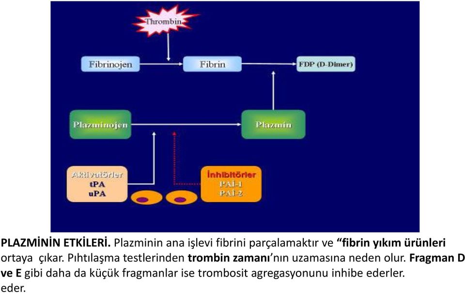 ürünleri ortaya çıkar.