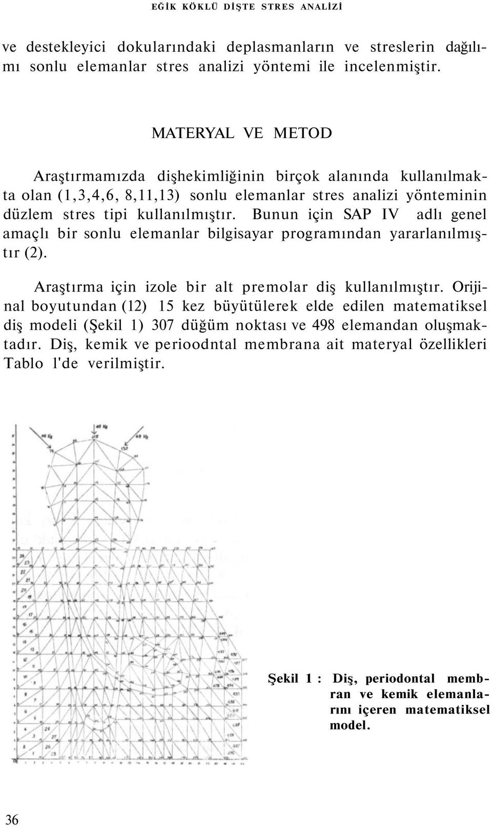 Bunun için SAP IV adlı genel amaçlı bir sonlu elemanlar bilgisayar programından yararlanılmıştır (2). Araştırma için izole bir alt premolar diş kullanılmıştır.