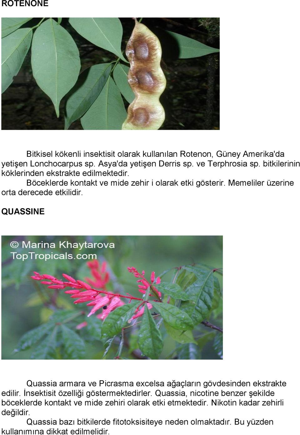 QUASSINE Quassia armara ve Picrasma excelsa ağaçların gövdesinden ekstrakte edilir. İnsektisit özelliği göstermektedirler.