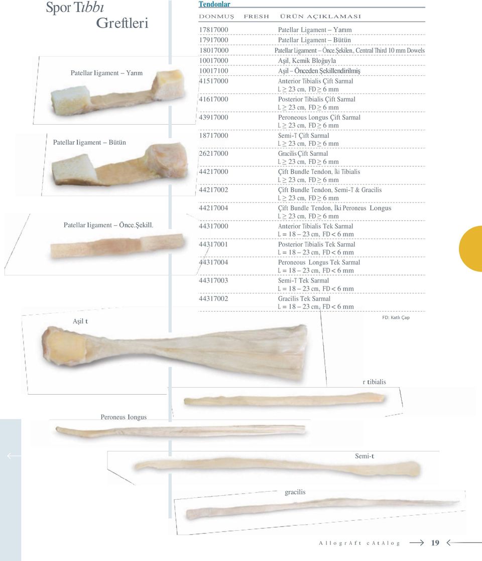 , Central Third 10 mm Dowels 10017000 Aşil, Kemik Bloğuyla 10017100 Aşil Önceden Şekillendirilmiş 41517000 Anterior Tibialis Çift Sarmal L 23 cm, FD 6 mm 41617000 Posterior Tibialis Çift Sarmal L 23