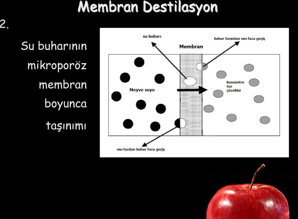 buharının