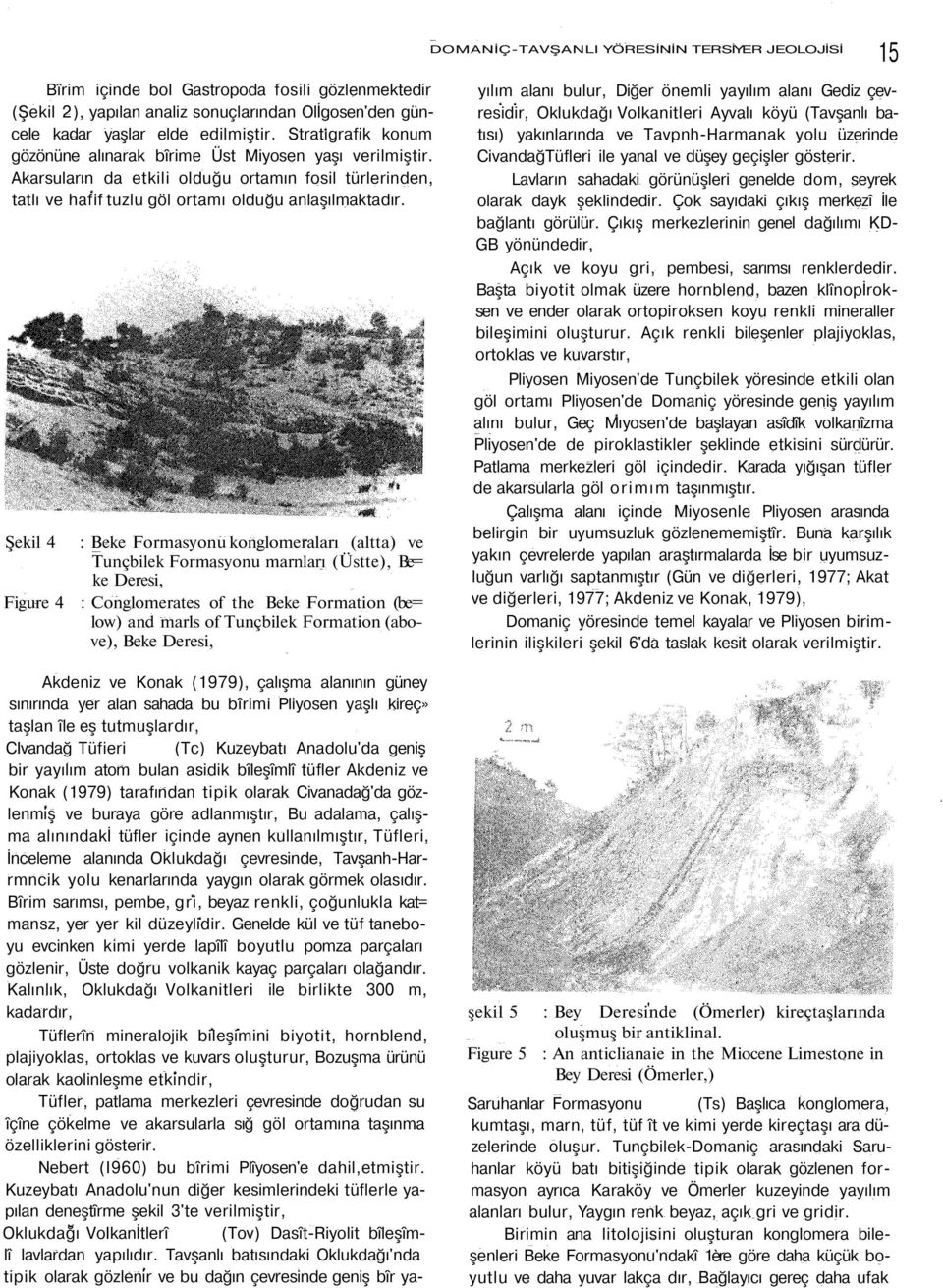 Şekil 4 Figure 4 : Beke Formasyonu konglomeraları (altta) ve Tunçbilek Formasyonu marnları (Üstte), Be= ke Deresi, : Conglomerates of the Beke Formation (be= low) and marls of Tunçbilek Formation