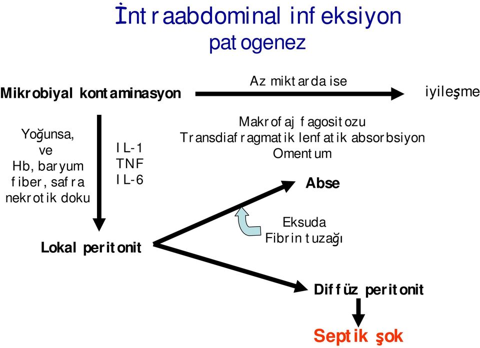 IL-1 TNF IL-6 Makrofaj fagositozu Transdiafragmatik lenfatik
