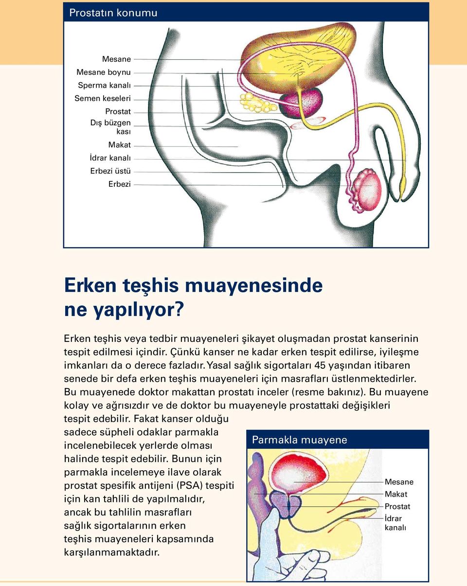 Yasal sağlık sigortaları 45 yaşından itibaren senede bir defa erken teşhis muayeneleri için masrafları üstlenmektedirler. Bu muayenede doktor makattan prostatı inceler (resme bakınız).