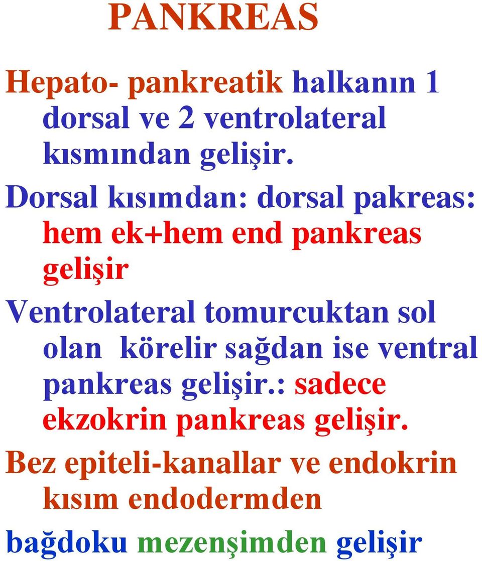 tomurcuktan sol olan körelir sağdan ise ventral pankreas gelişir.