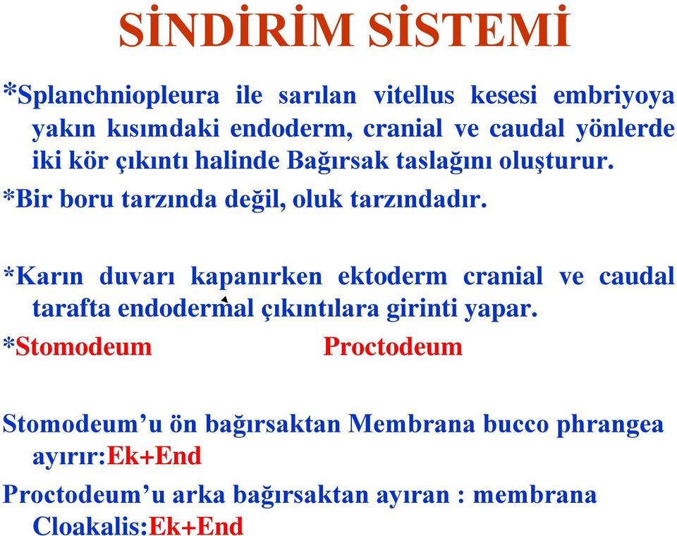 *Karın duvarı kapanırken ektoderm cranial ve caudal tarafta endodermal çıkıntılara girinti yapar.