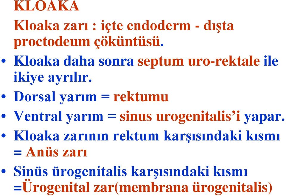 Dorsal yarım = rektumu Ventral yarım = sinus urogenitalis i yapar.
