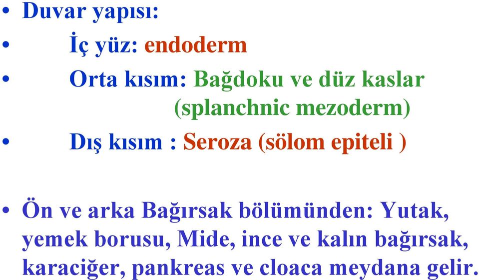 ) Ön ve arka Bağırsak bölümünden: Yutak, yemek borusu, Mide,