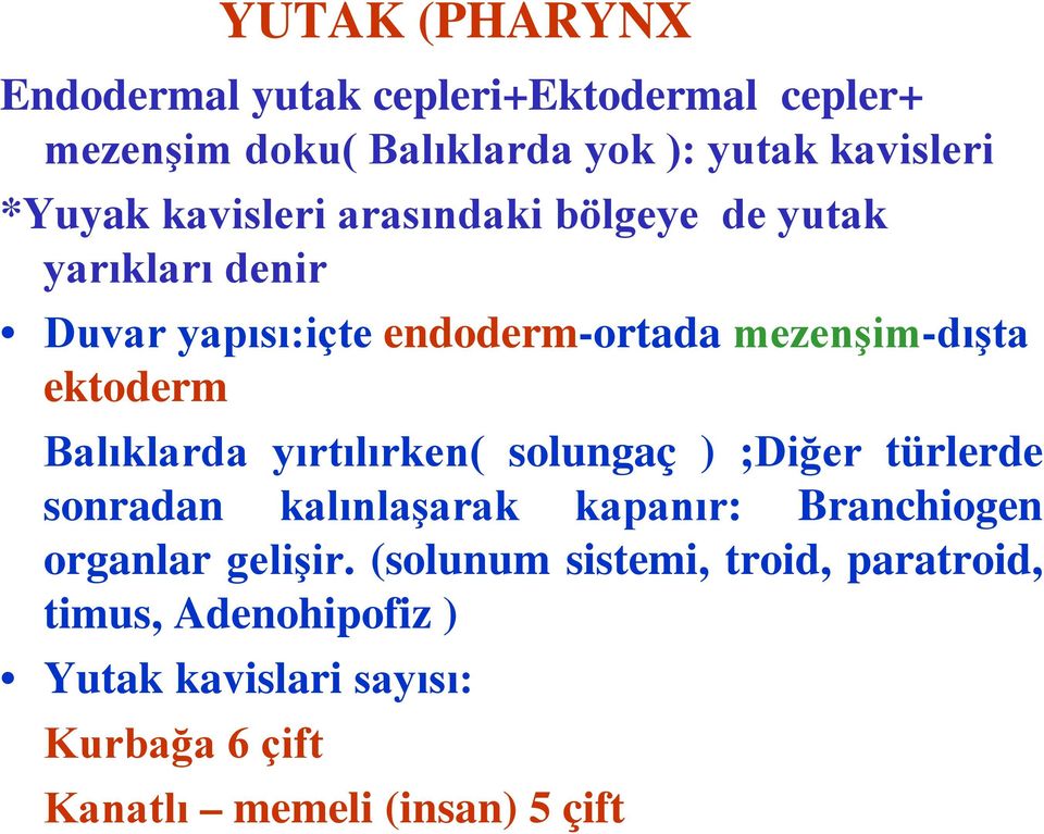 Balıklarda yırtılırken( solungaç ) ;Diğer türlerde sonradan kalınlaşarak kapanır: Branchiogen organlar gelişir.