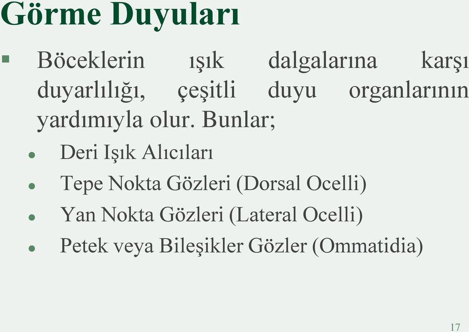 Bunlar; Deri Işık Alıcıları Tepe Nokta Gözleri (Dorsal