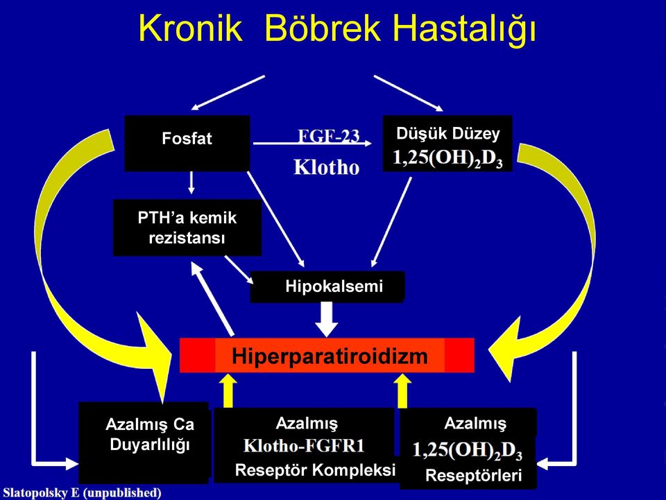 Hiperparatiroidizm Azalmış Ca Duyarlılığı