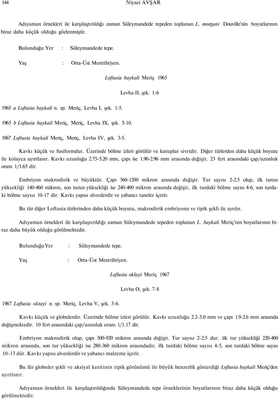 1965 b Loftusia baykali Meriç, Meriç, Levha IX, şek. 5-10. 1967 Loftusia baykali Meriç, Meriç, Levha IV, şek. 3-5. Kavkı küçük ve fusiformdur. Üzerinde bölme izleri görülür ve kutuplar sivridir.