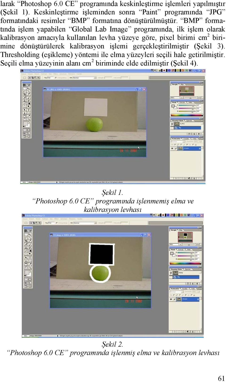 BMP formatında işlem yapabilen Global Lab Image programında, ilk işlem olarak kalibrasyon amacıyla kullanılan levha yüzeye göre, pixel birimi cm 2 birimine dönüştürülerek