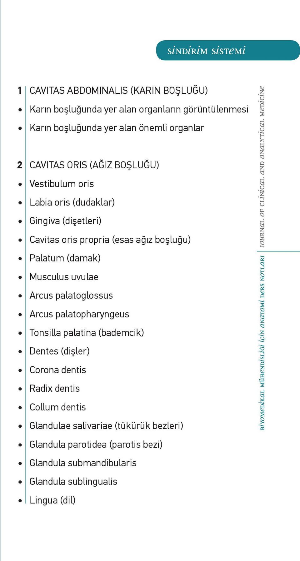 Palatum (damak) Musculus uvulae Arcus palatoglossus Arcus palatopharyngeus Tonsilla palatina (bademcik) Dentes (dişler) Corona dentis Radix