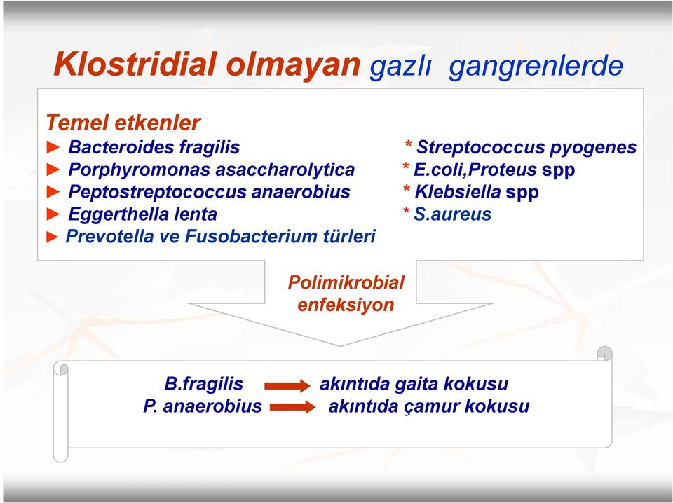 Fusobacterium türleri * Streptococcus pyogenes * E.coli,Proteus spp * Klebsiella spp * S.