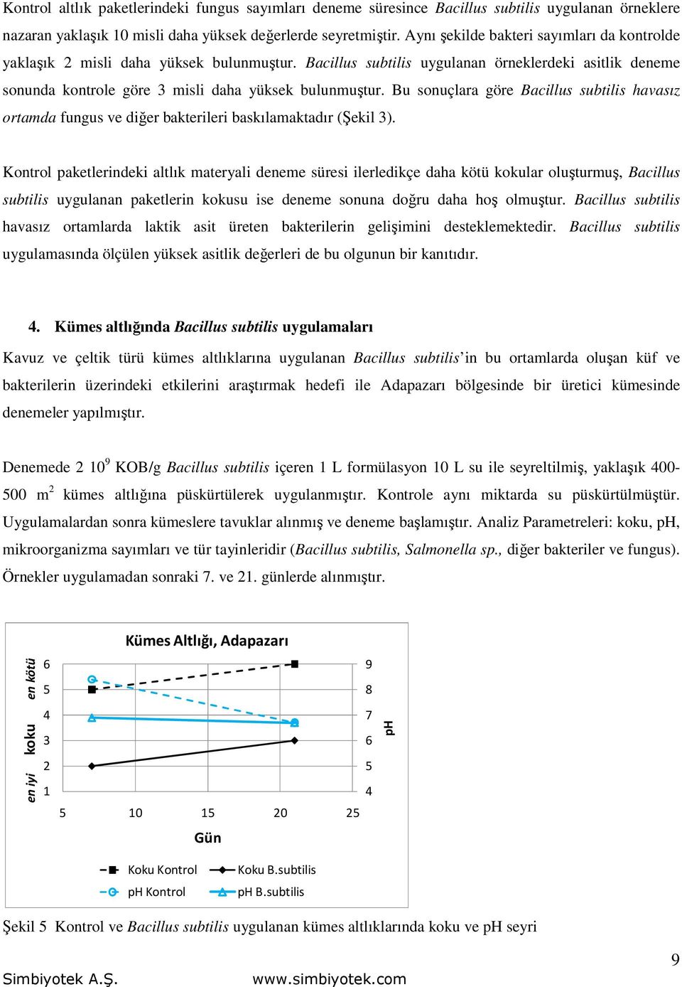 Bu sonuçlara göre Bacillus subtilis havasız ortamda fungus ve diğer bakterileri baskılamaktadır (Şekil 3).