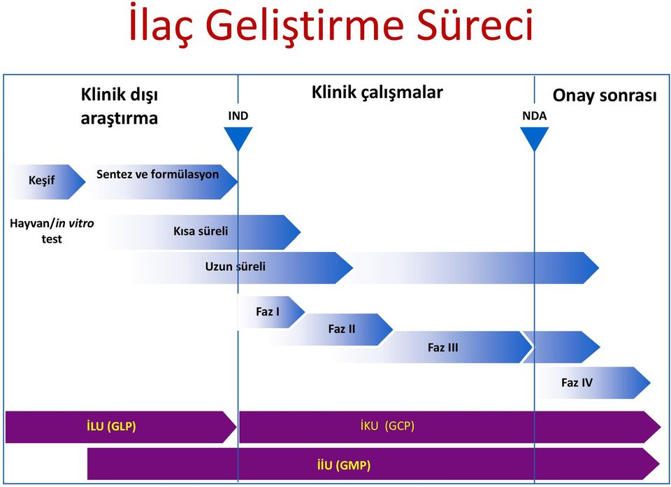 formülasyon Hayvan/in vitro test Kısa süreli Uzun