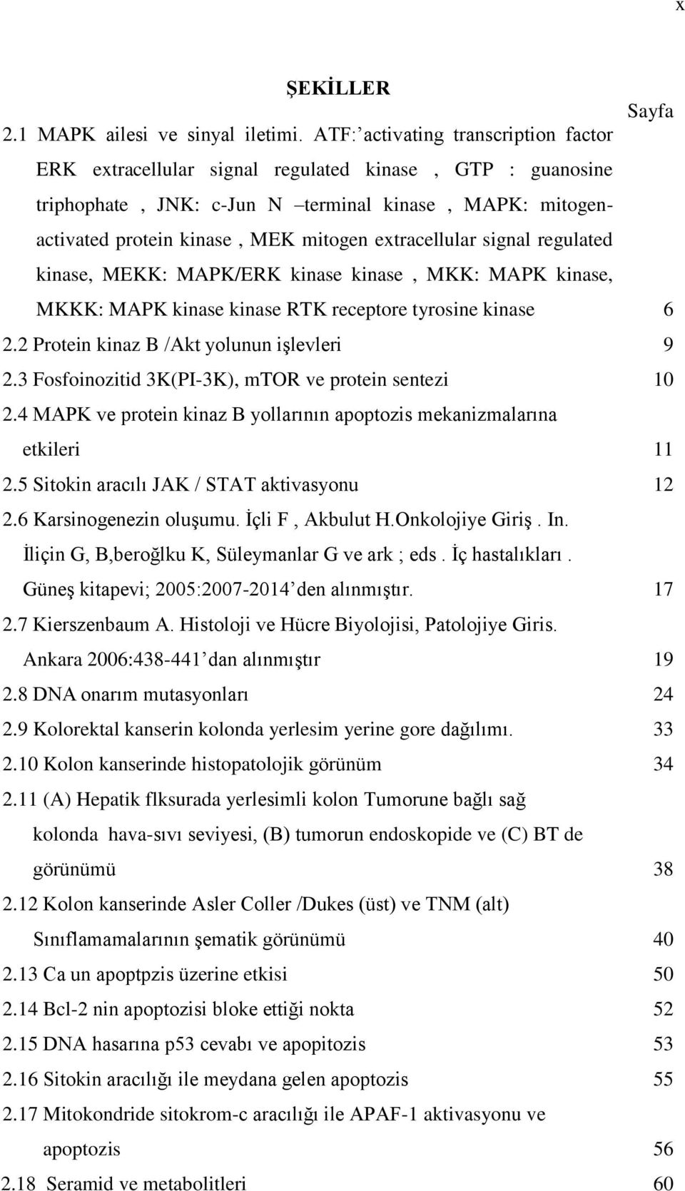 extracellular signal regulated kinase, MEKK: MAPK/ERK kinase kinase, MKK: MAPK kinase, MKKK: MAPK kinase kinase RTK receptore tyrosine kinase 6 2.2 Protein kinaz B /Akt yolunun iģlevleri 9 2.