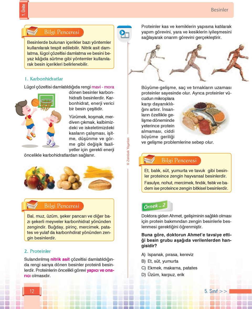 Proteinler kas ve kemiklerin yapısına katılarak yapım görevini, yara ve kesiklerin iyileşmesini sağlayarak onarım görevini gerçekleştirir. 1.