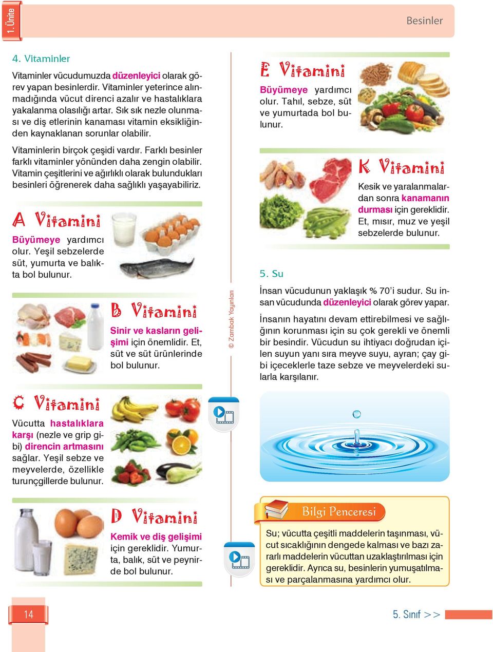 Farklı besinler farklı vitaminler yönünden daha zengin olabilir. Vitamin çeşitlerini ve ağırlıklı olarak bulundukları besinleri öğrenerek daha sağlıklı yaşayabiliriz.