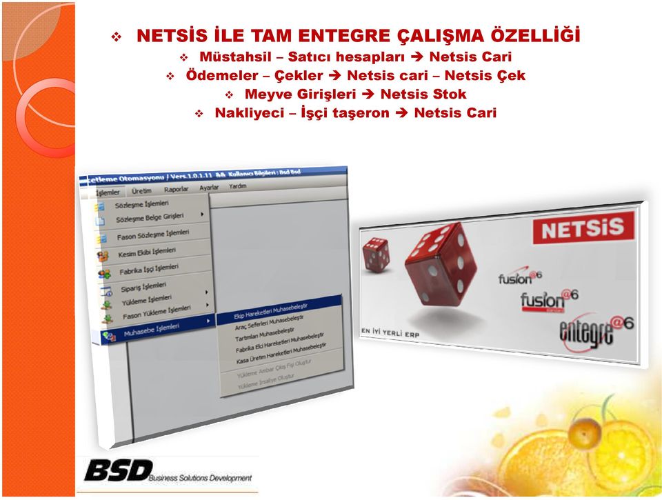 Ödemeler Çekler Netsis cari Netsis Çek Meyve