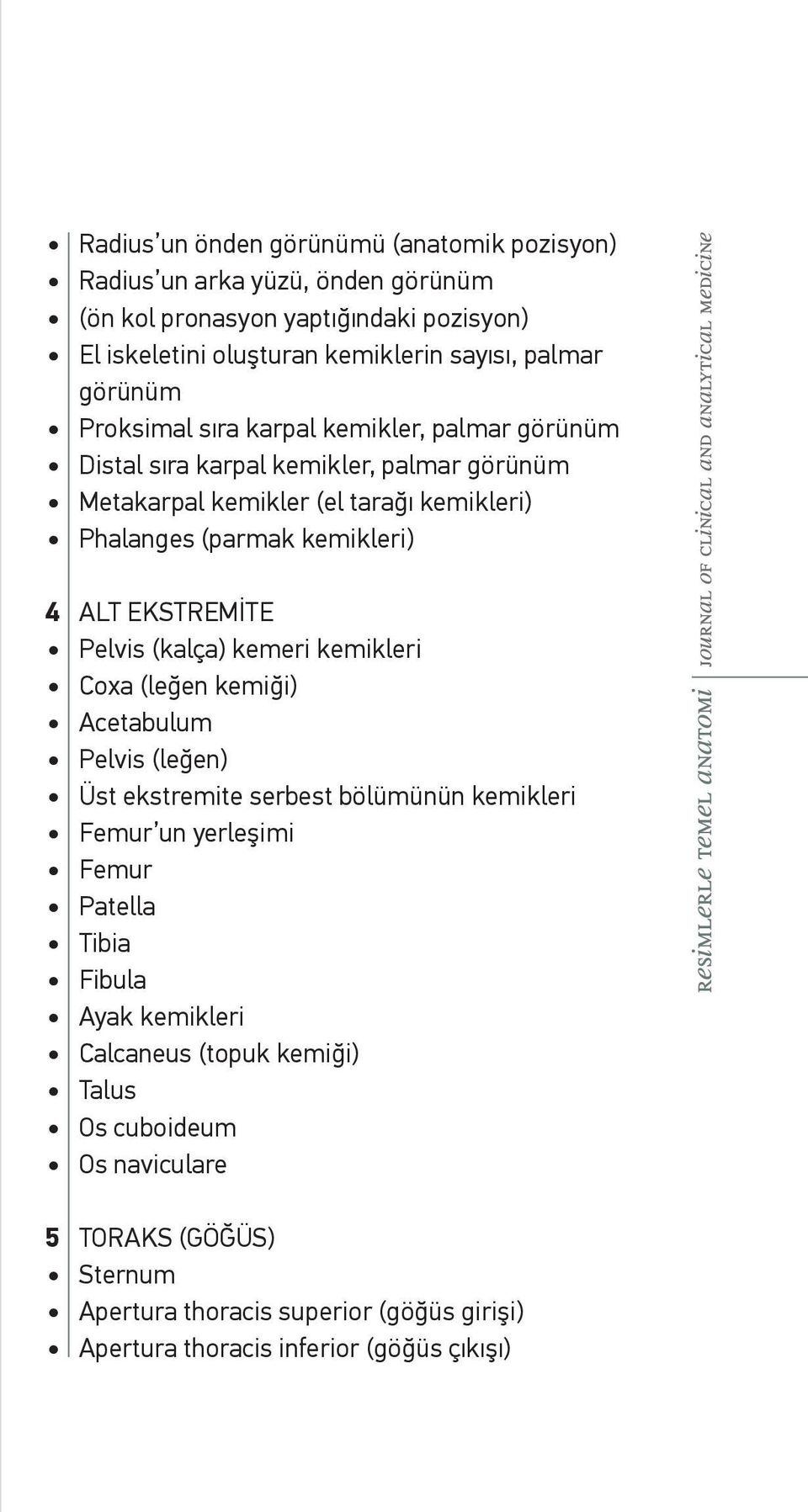 EKSTREMİTE Pelvis (kalça) kemeri kemikleri Coxa (leğen kemiği) Acetabulum Pelvis (leğen) Üst ekstremite serbest bölümünün kemikleri Femur un yerleşimi Femur Patella Tibia