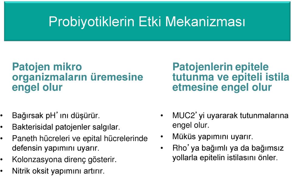 Paneth hücreleri ve epital hücrelerinde defensin yapımını uyarır. Kolonzasyona direnç gösterir.