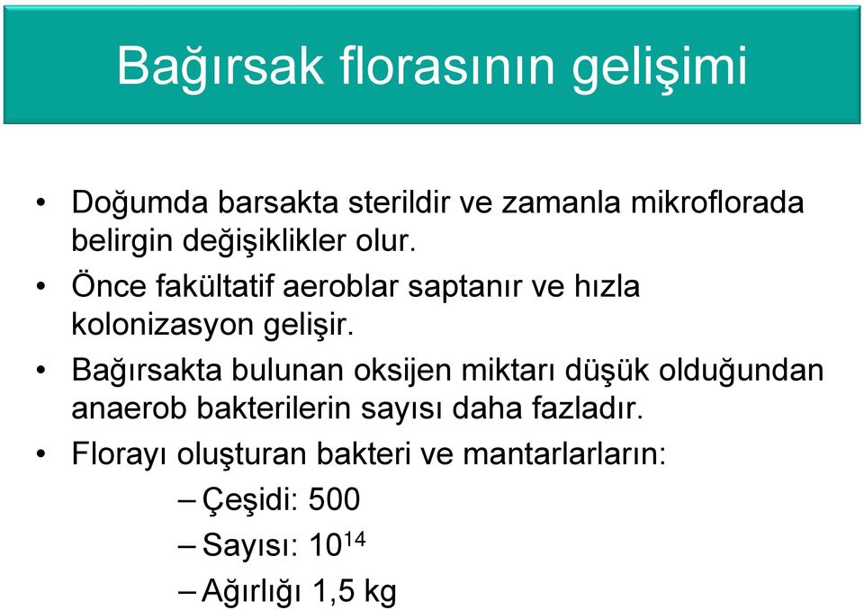 Bağırsakta bulunan oksijen miktarı düşük olduğundan anaerob bakterilerin sayısı daha