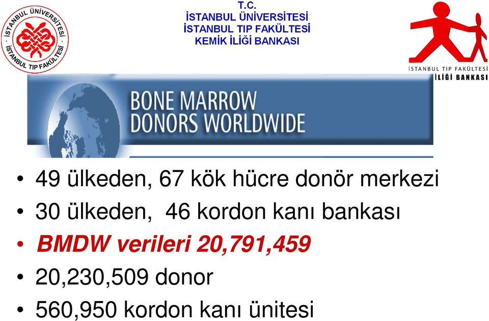 bankası BMDW verileri 20,791,459