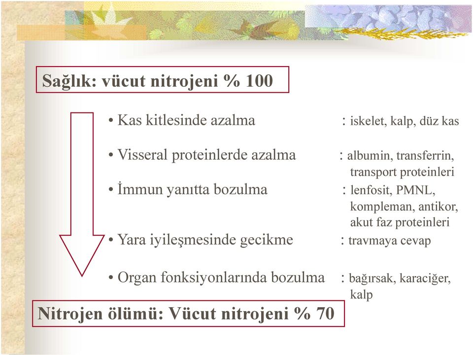 lenfosit, PMNL, kompleman, antikor, akut faz proteinleri Yara iyileşmesinde gecikme :