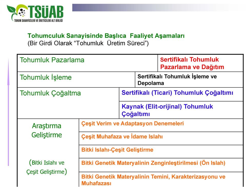 Kaynak (Elit-orijinal) Tohumluk Çoğaltımı Çeşit Verim ve Adaptasyon Denemeleri Çeşit Muhafaza ve İdame Islahı Bitki Islahı-Çeşit Geliştirme (Bitki