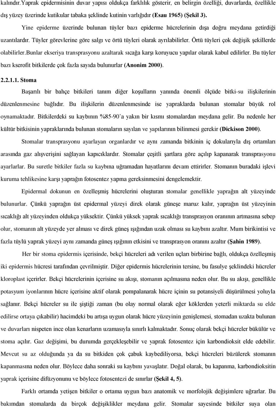 Yine epiderme üzerinde bulunan tüyler bazý epiderme hücrelerinin dýºa doðru meydana getirdiði uzantýlardýr. Tüyler görevlerine göre salgý ve örtü tüyleri olarak ayrýlabilirler.