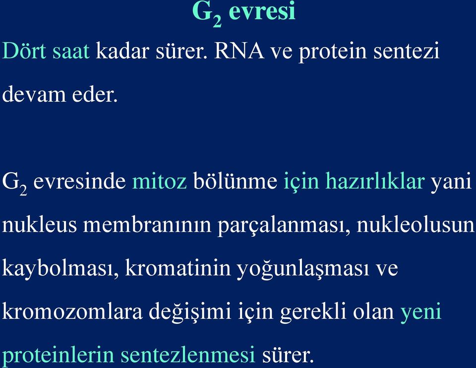 parçalanması, nukleolusun kaybolması, kromatinin yoğunlaşması ve