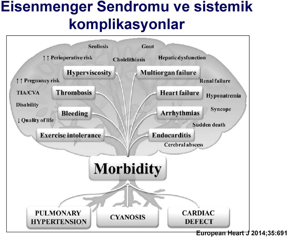 sistemik