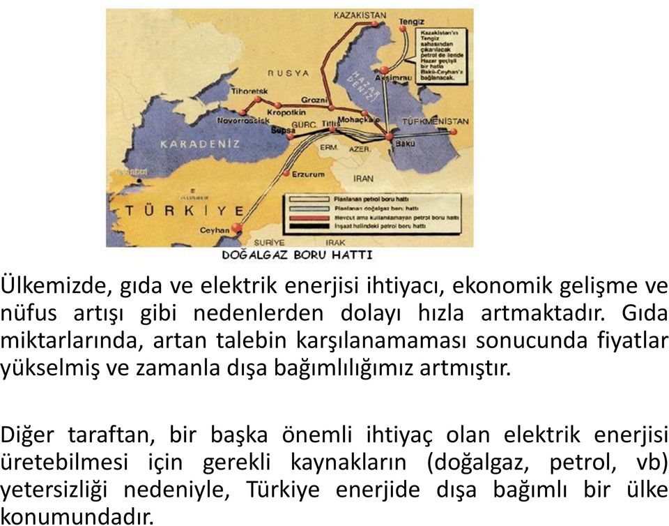 Gıda miktarlarında, artan talebin karşılanamaması sonucunda fiyatlar yükselmiş ve zamanla dışa bağımlılığımız