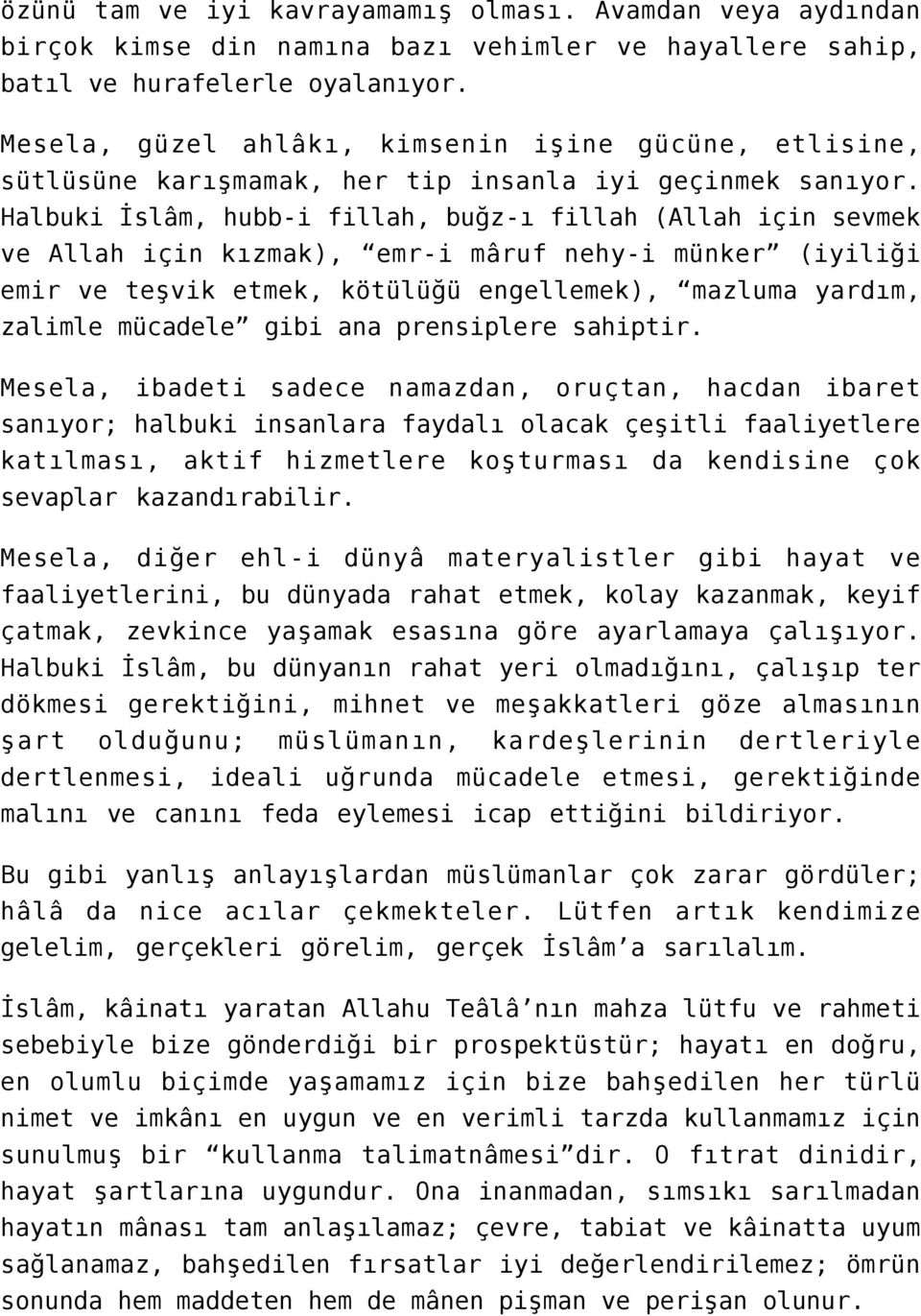 Halbuki İslâm, hubb-i fillah, buğz-ı fillah (Allah için sevmek ve Allah için kızmak), emr-i mâruf nehy-i münker (iyiliği emir ve teşvik etmek, kötülüğü engellemek), mazluma yardım, zalimle mücadele