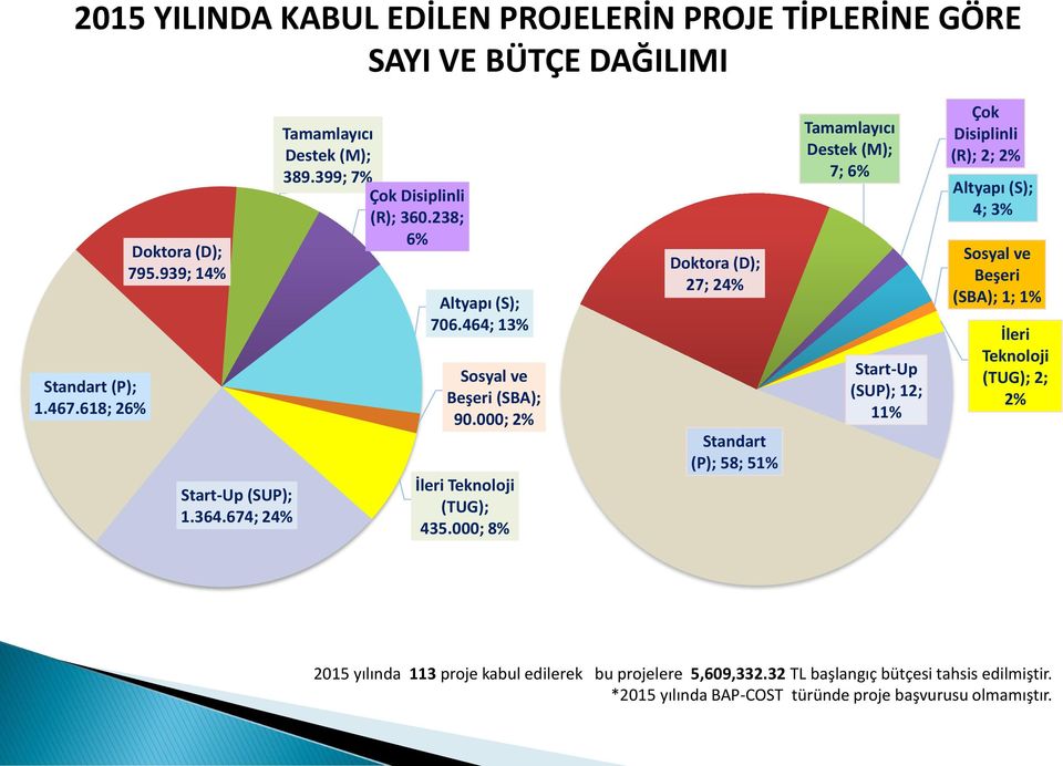 000; 8% Doktora (D); 27; 24% Standart (P); 58; 51% Tamamlayıcı Destek (M); 7; 6% Start-Up (SUP); 12; 11% Çok Disiplinli (R); 2; 2% Altyapı (S); 4; 3% Sosyal ve Beşeri (SBA);