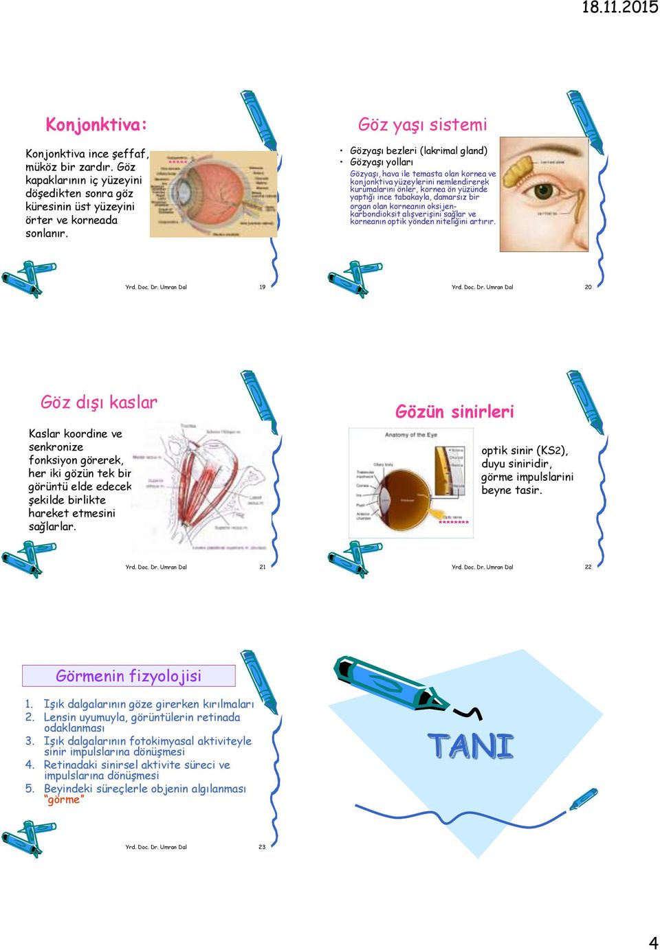 damarsız bir organ olan korneanın oksijenkarbondioksit alışverişini sağlar ve korneanın optik yönden niteliğini artırır. Yrd. Doc. Dr.