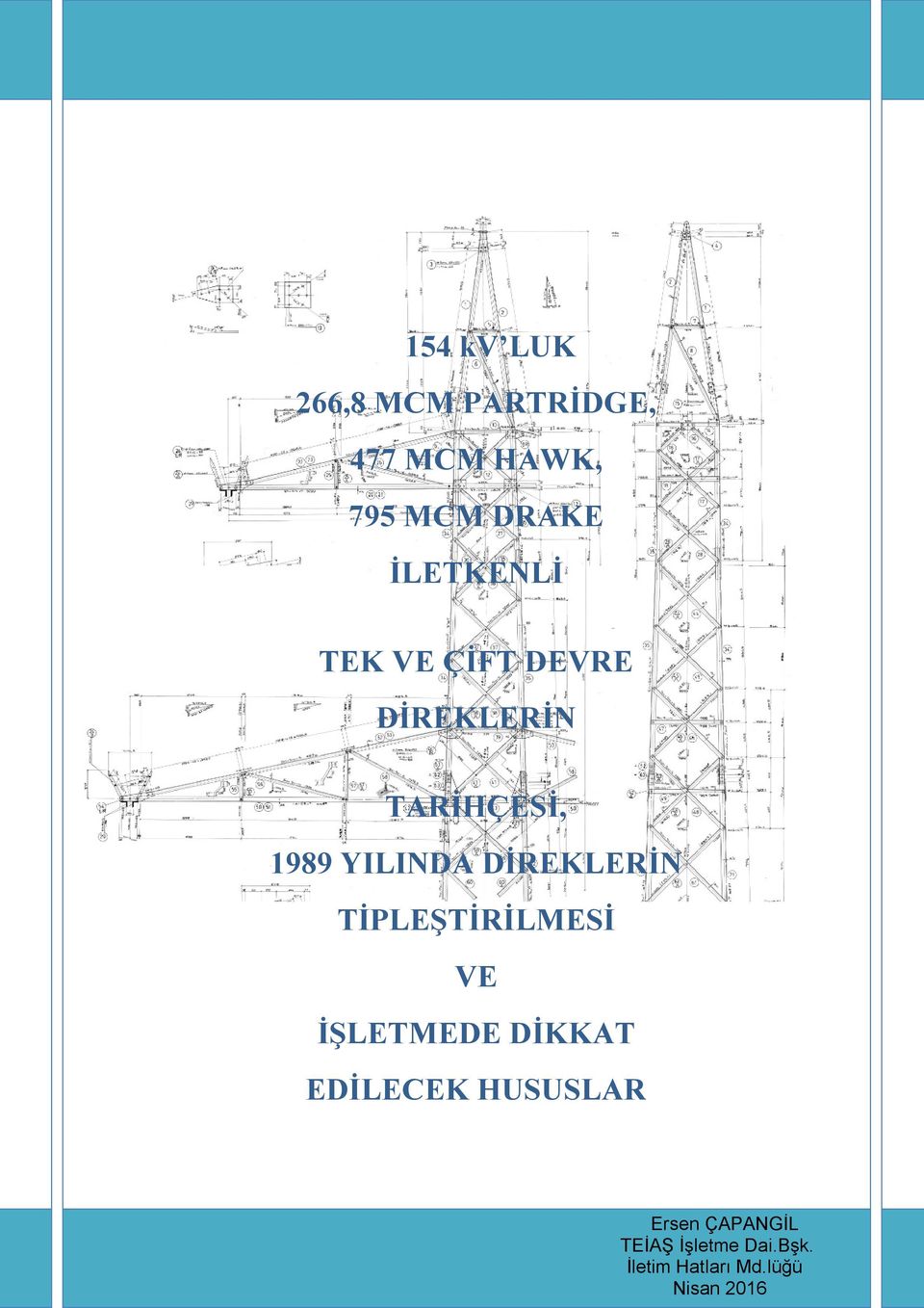 DİREKLERİN TİPLEŞTİRİLMESİ VE İŞLETMEDE DİKKAT EDİLECEK HUSUSLAR