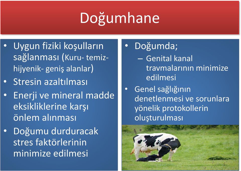 durduracak stres faktörlerinin minimize edilmesi Doğumda; Genital kanal travmalarının