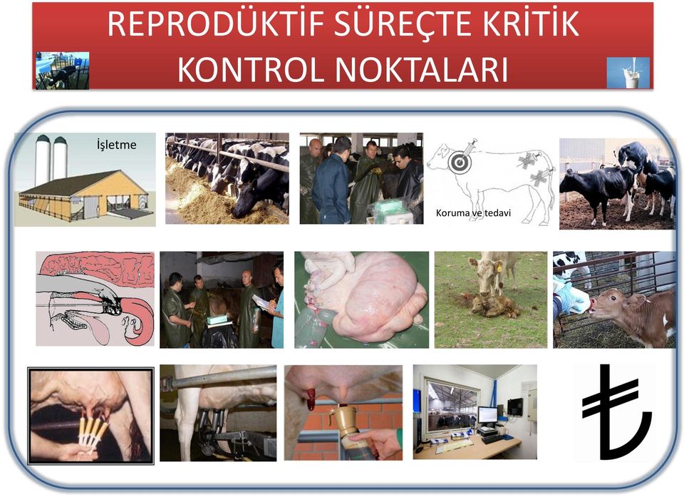 KONTROL NOKTALARI