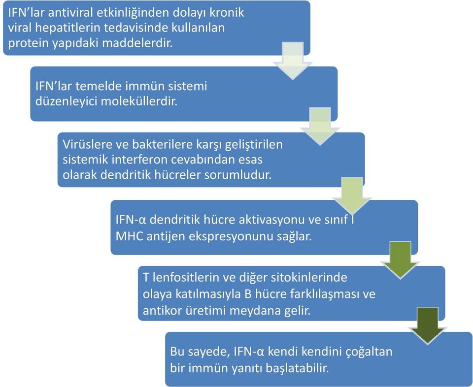 Virüslere ve bakterilere karşı geliştirilen sistemik interferon cevabından esas olarak dendritik hücreler sorumludur.