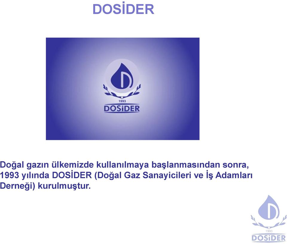 1993 yılında DOSİDER (Doğal Gaz