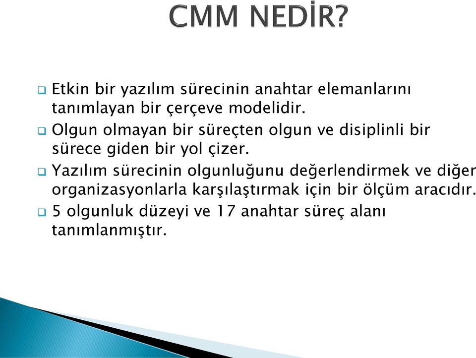 Yazılım sürecinin olgunluğunu değerlendirmek ve diğer organizasyonlarla