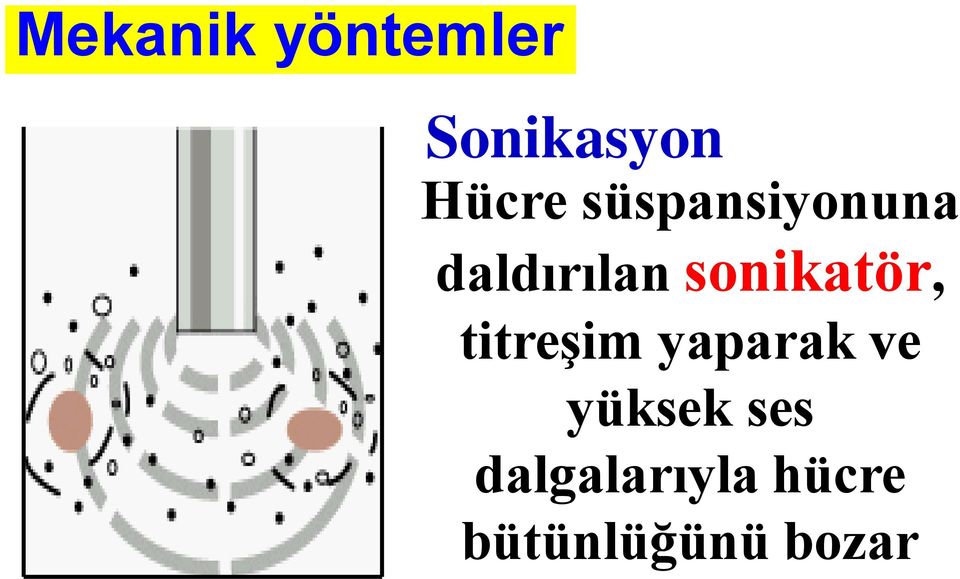 sonikatör, titreşim yaparak ve