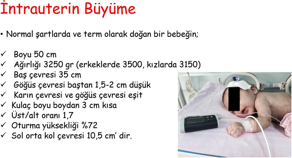 çevresi baştan 1,5-2 cm düşük Karın çevresi ve göğüs çevresi eşit Kulaç boyu